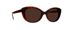 1012 25 SUN TORTOISE / BROWN - 25 SUN